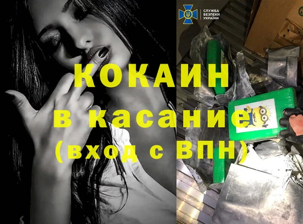 бошки Ельня