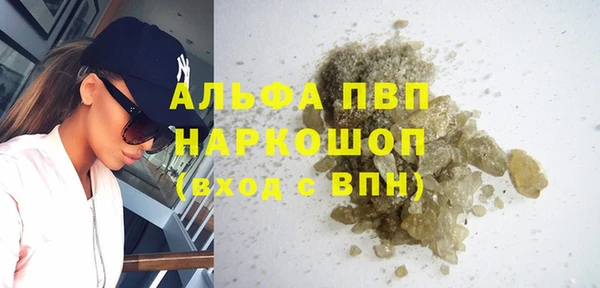 ECSTASY Богородицк
