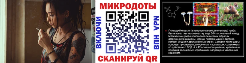Псилоцибиновые грибы Psilocybe хочу Гурьевск